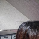 잔디게임방 이미지