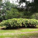 성호공원_조각공원주변 이미지