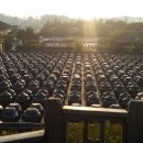 서일식당 이미지