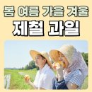 제철 이미지