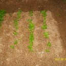 선유농장 이미지