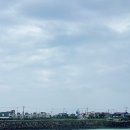 숙성도제주본점 이미지