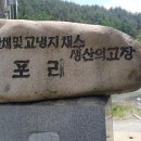 영풍채소 이미지