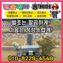 서구-20 | 인천시 서구 천주교 마전동묘원 2기/ 20평 벌초 작업후기 -만물박사홈케어
