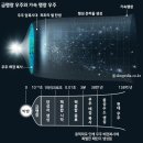 자연SCIENCE 이미지