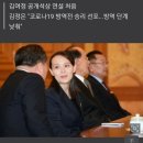 北 김여정 "코로나19 유포한 남측에 강력한 보복대응 검토" 이미지