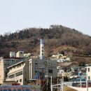 삼영탕 이미지