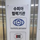 수피아체형관리 이미지
