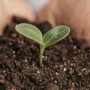 풍농비료 이미지