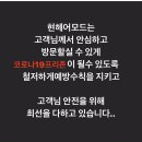 현 헤어 이미지