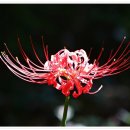 이중앙 행정사사무소 이미지