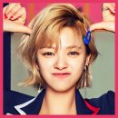 정연환경 이미지