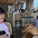 아이콘노래연습장 이미지