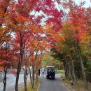 씨유 세종1번국도점 | 아난티 중앙 골프클럽 라운드 후기_다 된건가...