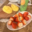 [TRIP] 강릉 에어비앤비 독채 숙소 ‘스테이모래내’ 후기