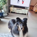 포미포밍 이미지