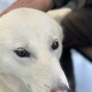 범어동물병원 이미지