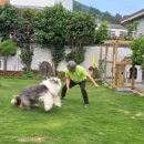 바다야놀자 이미지