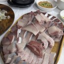 영남횟집 | 대전 방어 맛집 영남횟집 내돈내산 예약 후기
