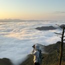 배꼽제빵소 이미지