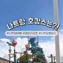 파크수영장 이미지