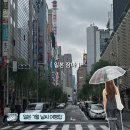 안*철 - 안양시 동안구 | 일본 7월 날씨 도쿄 장마철 여행 후기 일본 여름 여행