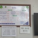 섬갯돌