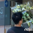 법인전의고씨