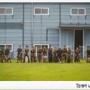 필애견훈련학교(특수목적견교육센터) | TEAM VIPDOG ㅣ 검증된 경력, 차별화된 훈련