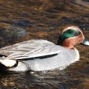 외동배수펌프장 이미지