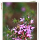 법성포초등학교 이미지