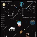 Moon기획 이미지