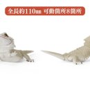 레쁘띠