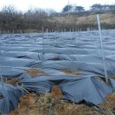 봉화농장 이미지