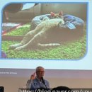 아떼꼬떼 동물병원 이미지