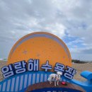 샹하이 앞(공영주차장) 도로가 | &lt;임랑해수욕장&gt;방문후기, 공영주차장, 차박 분위기