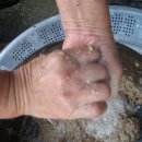 사천탁주 이미지
