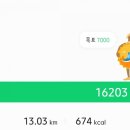 갈비나라 이미지