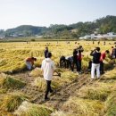 거북이마을 이미지