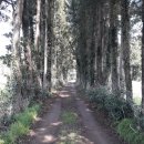 동광리-1 이미지