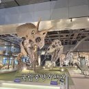 국립중앙과학관 버스정류장 | 대전 아이와 가볼만한곳 국립중앙과학관 사이언스데이 &amp; 꿈아띠체험관 방문 후기