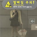 제너헤어 | 사(死)학년은 힘들어요