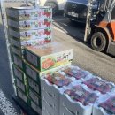 안동청과 이미지