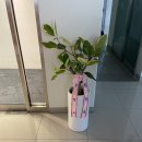 제이디 PT스튜디오 이미지