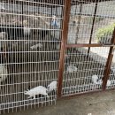 사상근린공원 티스토리