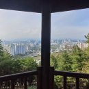 월대산정상 Daum카페