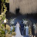 스타트라인 2호점 | W9. 부산 더S웨딩홀 계약 / 뷔페 / 주차 / 장단점 + 본식 후기 (W웨딩)