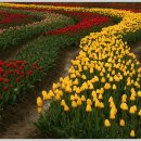 아침의 향기 이미지