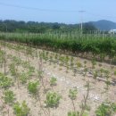 원우농장 이미지