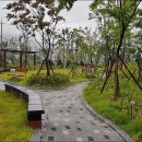 인제 터미널 앞 공원 이미지